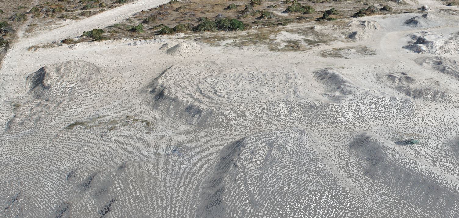 Dense photogrammetric point cloud of an earthworks project